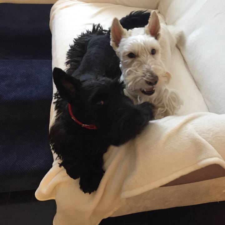 8945827c 76e4 4a11 9ff0 6aabd71441f1 1512255980104