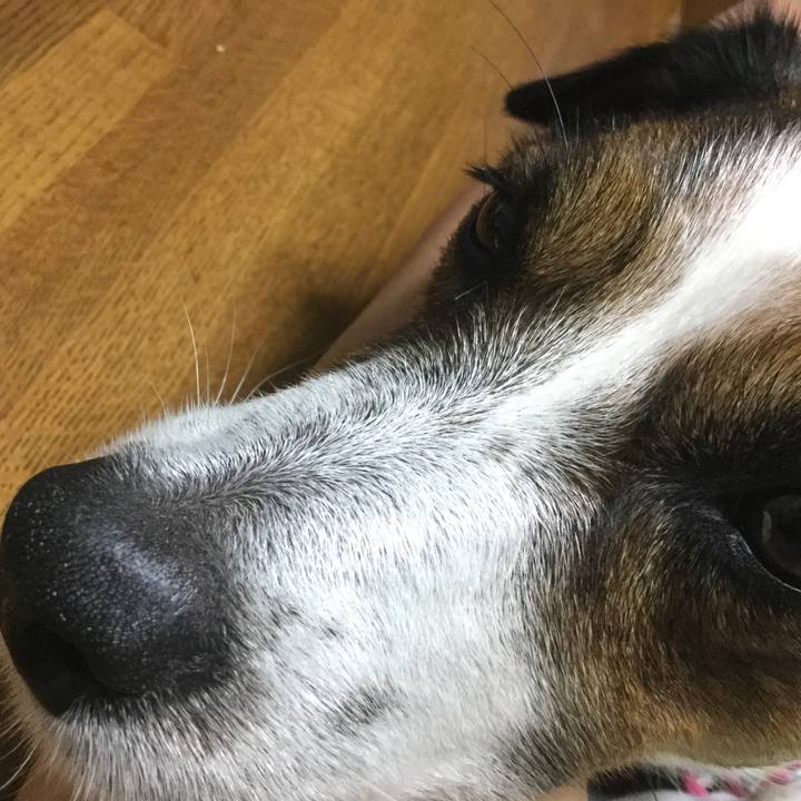 8945827d ffc2 40ae ab60 1c6249592653 1537680797133