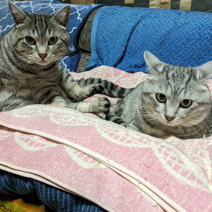 8945a286 440e 4d89 97f9 2340c7817bbc 1704212428290