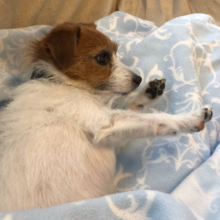 8945e262 3b29 4091 866d a31bd504698a 1577678191002