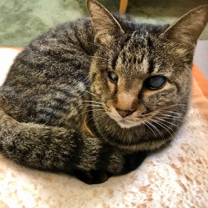 89461c32 ed27 477b 99be a9c64c409814 1614401580166