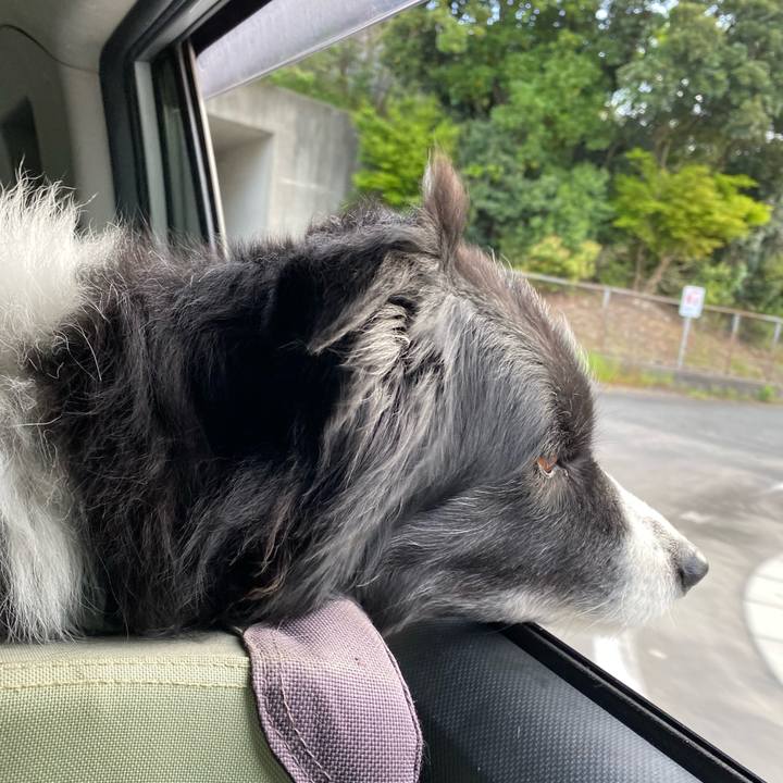 8946230e e3e1 45fb 8fce 3d47966f20a4 1681077593062