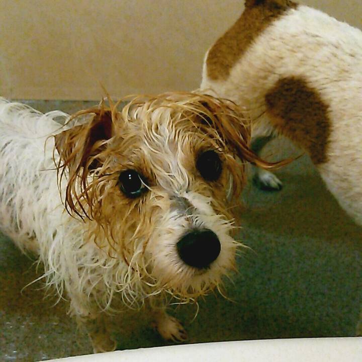 89467217 5365 4b21 94f3 b3d04d1e5479 1509249341452