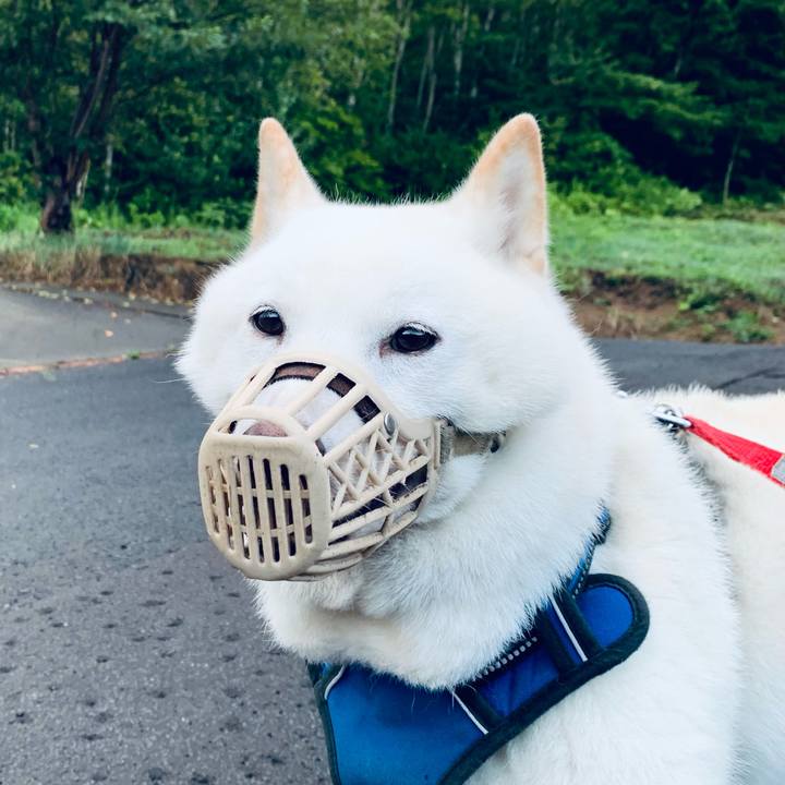 89467e61 1514 42b2 a19f 3dad09724381 1628712969798