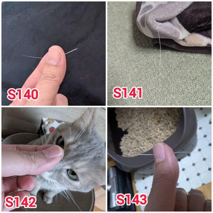 8946b0cf 0147 41ad 9d01 5406d6c76386 1765534496091