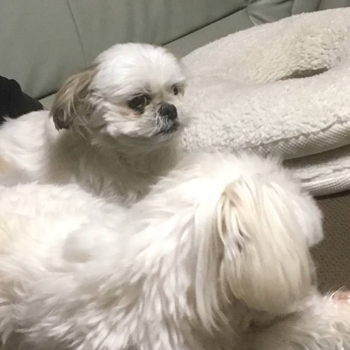 89470ca5 1c9e 4c6a b55e bd492a7f9cf4 1524312385950