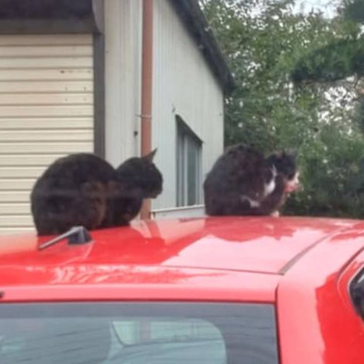 89471017 edb9 4e29 8309 b74b1054b607 1730171694407