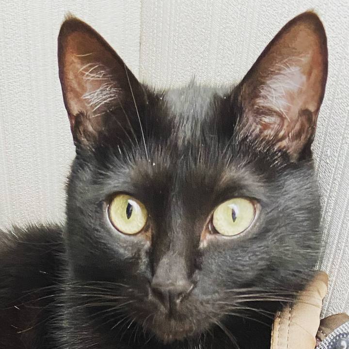 89473786 0897 45ae bd9a fd9bd98136be 1693091830991