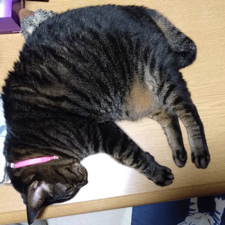 894755d2 0071 4bb0 8853 9c0879b38adf 1758348903424