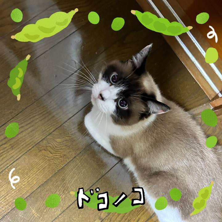 894767df d8d1 4733 b249 9ace70407024 1721215944240
