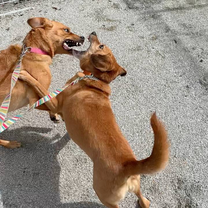 89477106 b3fb 4098 bbc4 e6ba1ddf6a9d 1571618927686