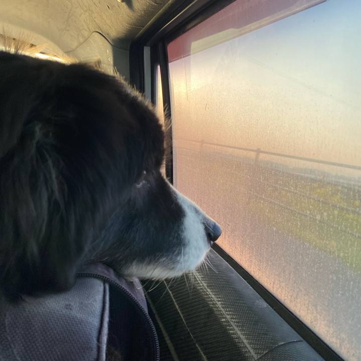 8947916f 8e34 4d69 bd93 25a61b2c2df6 1710454058321