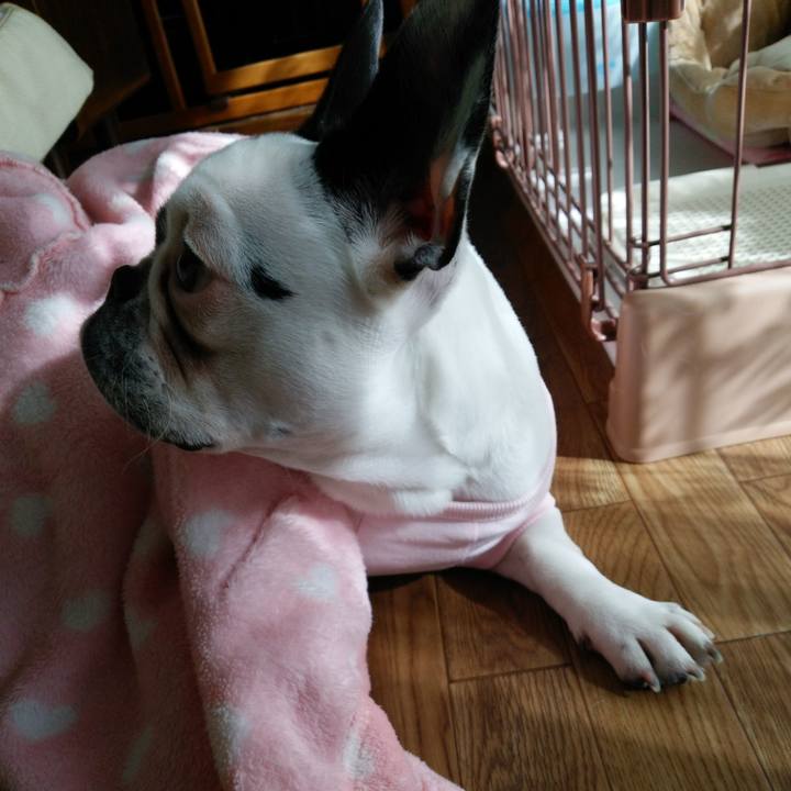 8947c0b9 f90a 40d8 89ea 55b667d7539f 1558450211826