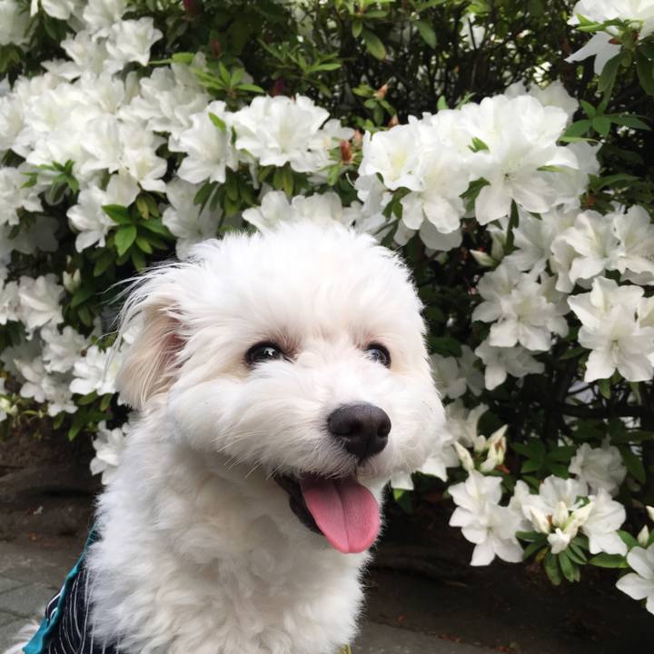 8947e5f9 4cc5 4ef8 80a9 460c014eeb8a 1555923525292