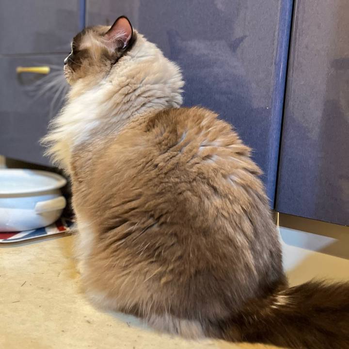 8947fb90 fb12 45a0 87ae ab7b68c7941a 1730814302047