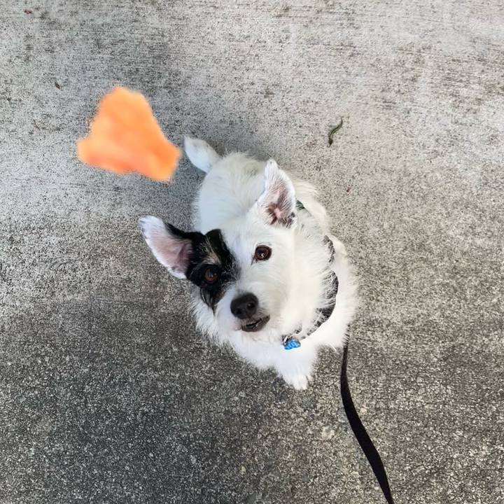 89484cd1 323d 4f78 af4e 3146e5b94d6e 1726528342582