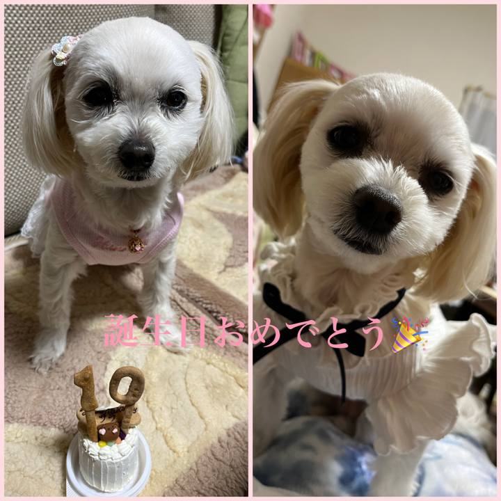 89489f6a c8d9 4084 8801 50752171827d 1679707463625