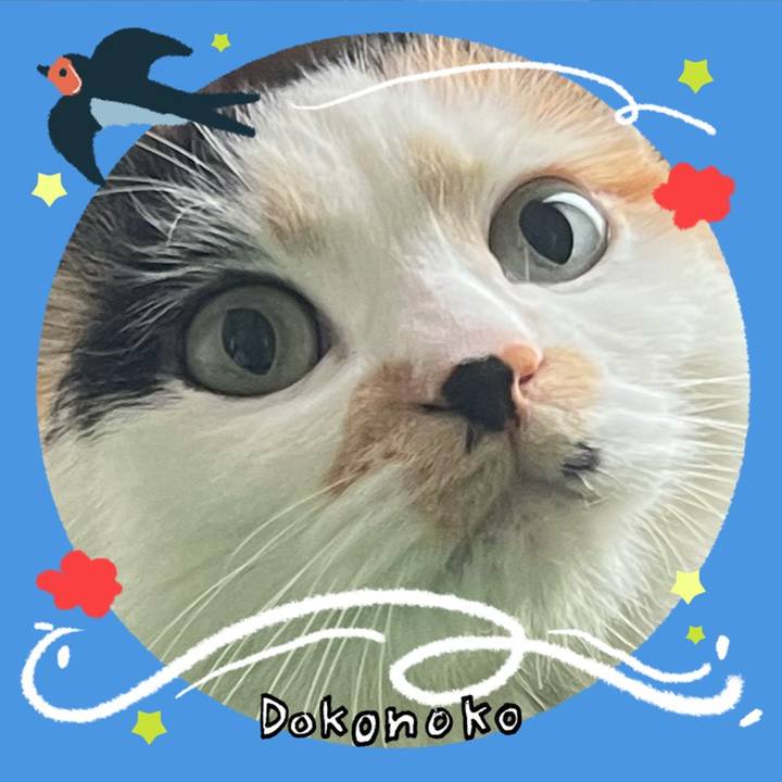 8948c22d 9e9b 43b7 b205 35638a6a653a 1779744773063
