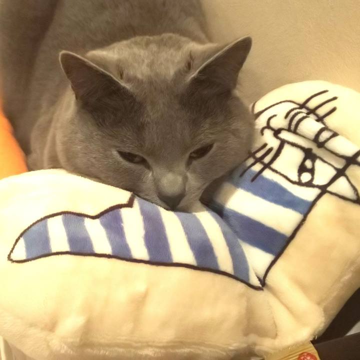 89490014 ac81 40a6 958b 95c84f255a9b 1553869289088