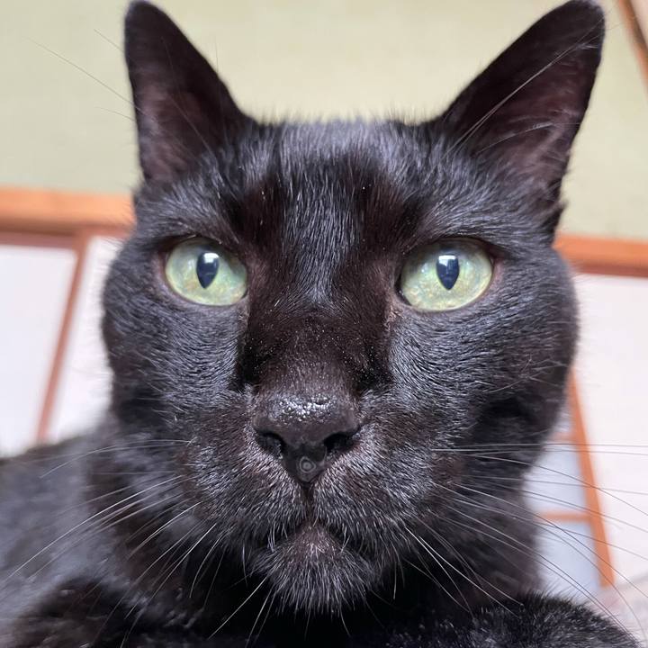 89494a0a 4dc2 40a9 a57b 3217f8978cf3 1630719220479