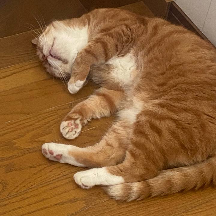 89494c6c 97d2 4b0f a9d3 39dcae005da2 1720651491073