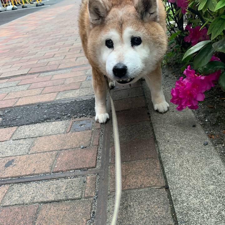 89494d8d 1970 4d62 acac 97a027085143 1651190489360