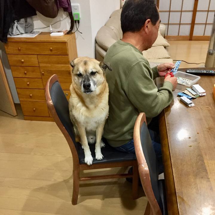 894989e0 c885 4f40 91bd 9b044b4f2685 1541325992744