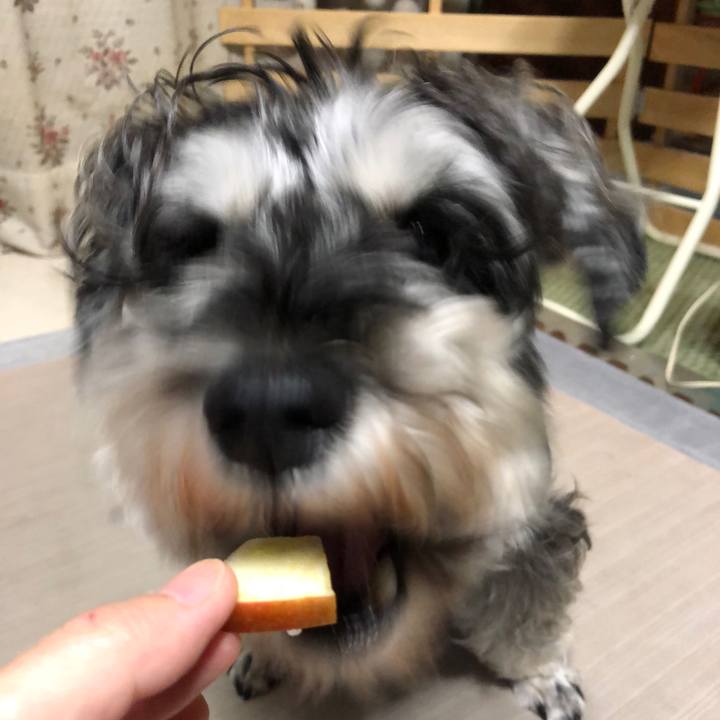 8949944d 75a4 47ca a811 57c6c8adeb43 1633174237917