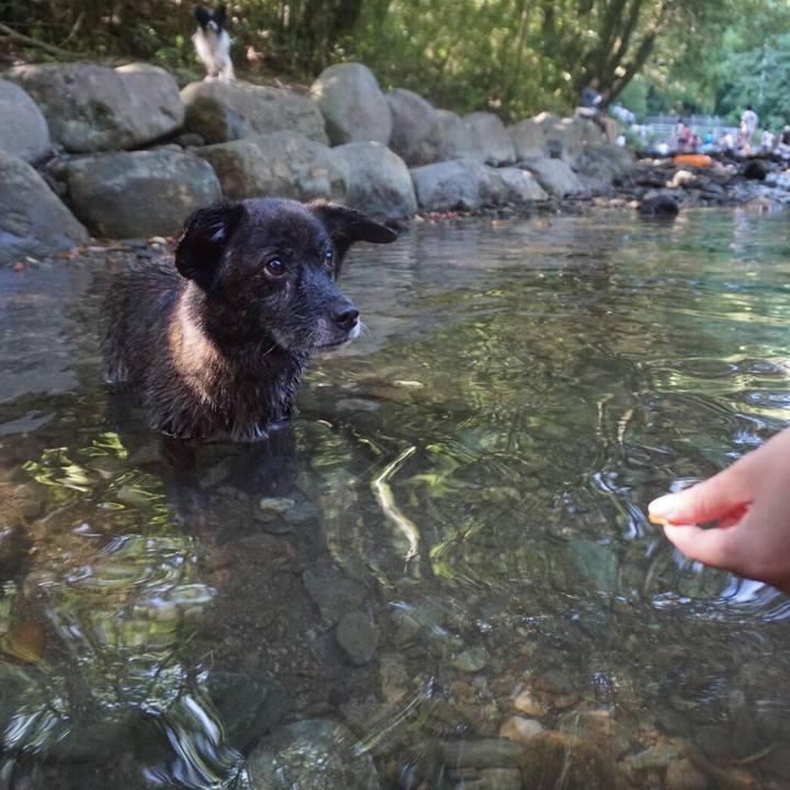 89499d30 8936 48a5 ac6c 22eed01f267b 1564533113505