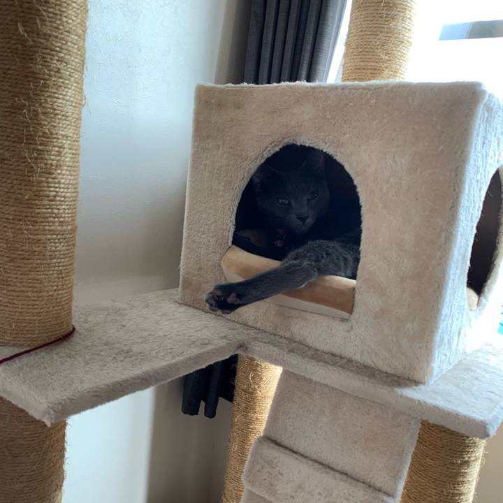 8949a4c1 e11a 4b67 8a36 63273f1340dc 1617274277919