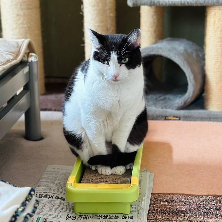 8949d923 64f7 432b bb83 d27b0791141b 1680140668398