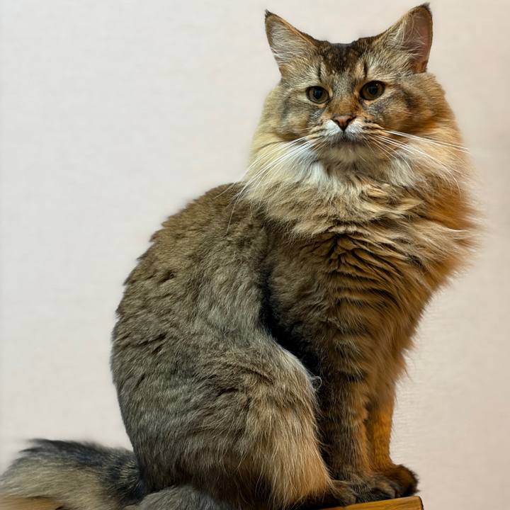 8949db47 702e 456a 8ddb 1562f21a8fde 1760137053718