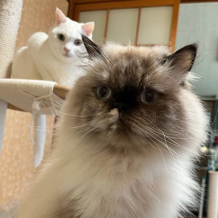 8949ec0a 3497 45fe 9479 0532d3aaf39c 1698584564007