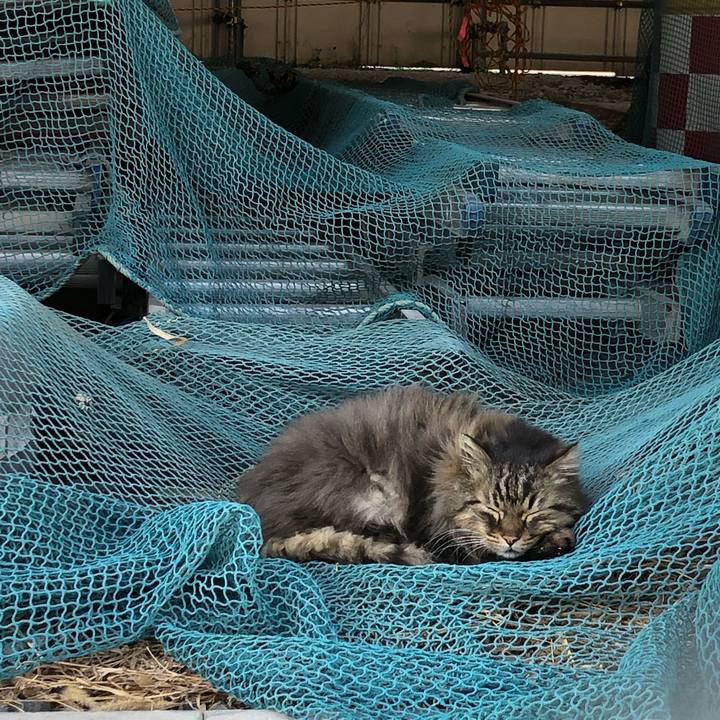 8949f845 bf8a 4c39 811a 783819692b93 1552123031652