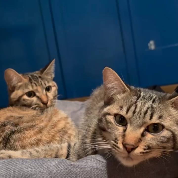 894a0313 6796 4d06 8a94 bac1c7cd35aa 1734261100171