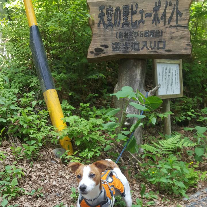 894a0b66 43a2 48d3 8cac b4e2bc52c8c1 1559187888135