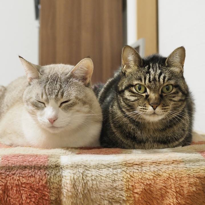 894a2257 10f0 4428 8bf5 cd1853ce4b3e 1737885973023