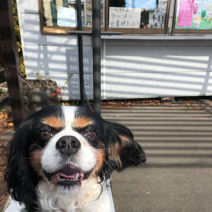 894a240b b9ee 4293 8534 f772594d7381 1573009925694