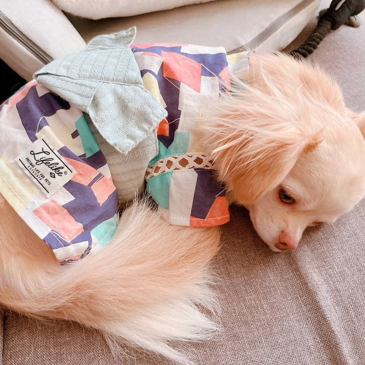 894a2874 bcda 4f59 a491 164651a0ec74 1657191555400