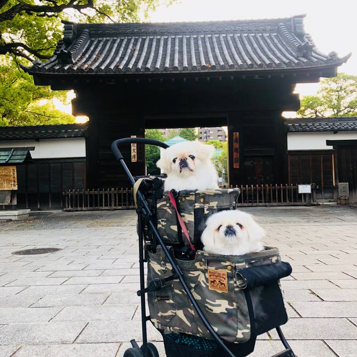 894a2f83 781c 4e44 bbd5 244dcb88e96f 1591406210424