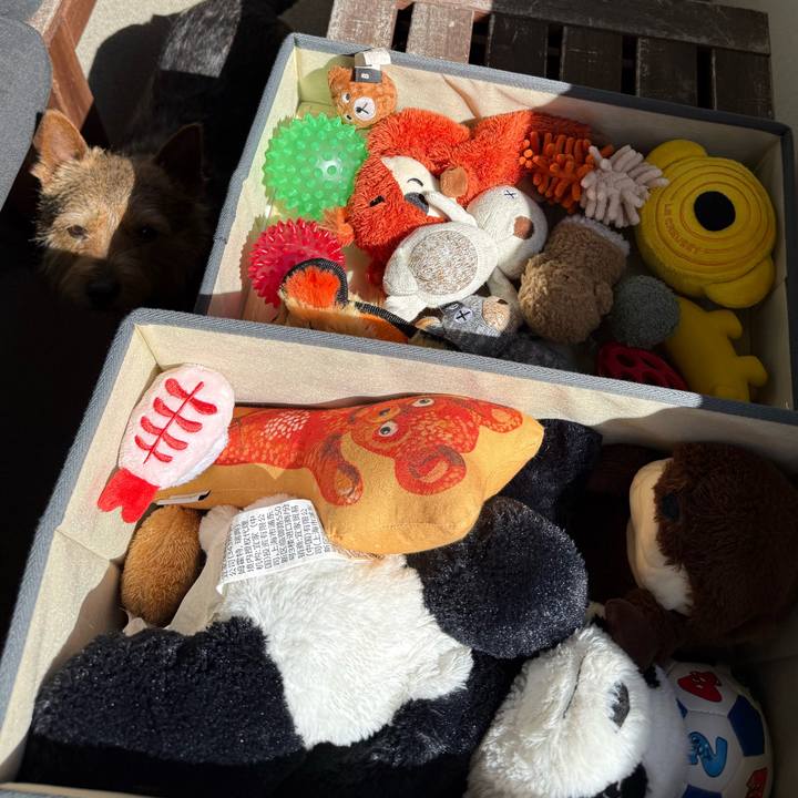 894a33e2 baa0 41f1 acf1 e9b384184a8f 1772681690902