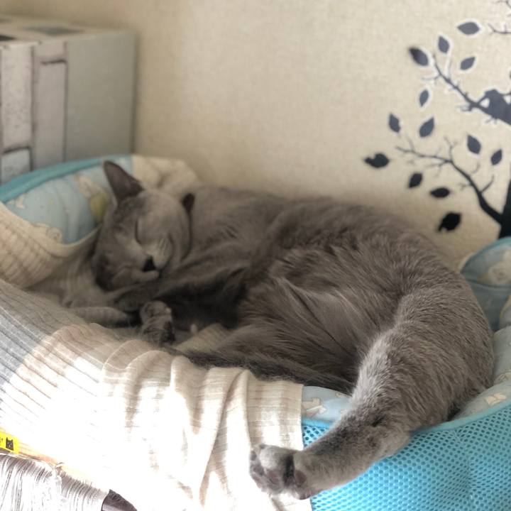 894a8697 a0c6 4ca5 ad14 13f4376c5255 1573476280869