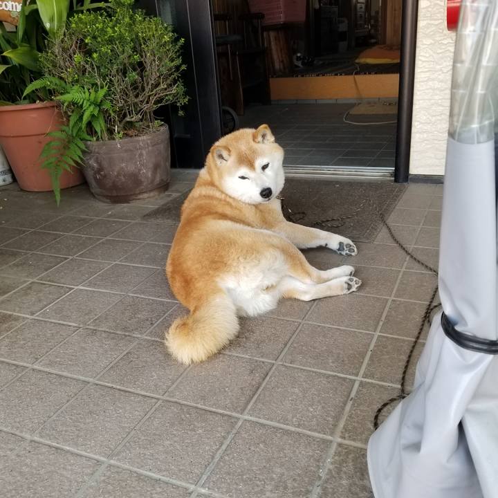 894aa150 c9dc 42f5 9158 ac5476040016 1684713210694