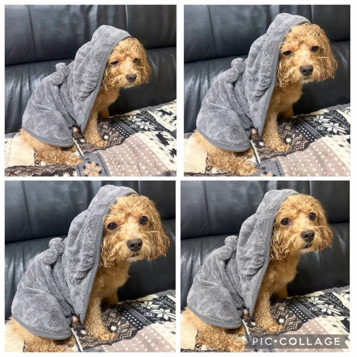 894abd99 a80b 4984 a830 6ab621e00c5e 1759768106671