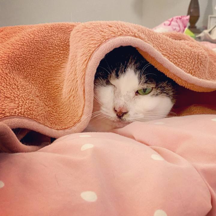 894af561 d32a 44d6 8c39 00cf0cd1d23a 1615172707076