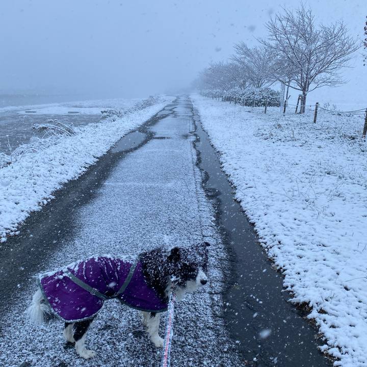 894af78f e3d6 4653 bcf2 ec655d8d0562 1671323340001