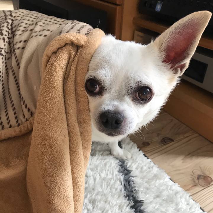 894b43a8 7026 4033 9651 08d99d2d613b 1619828763471