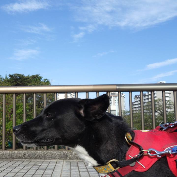 894b4f5a f025 4c8f b551 39b2025b22da 1587860973865