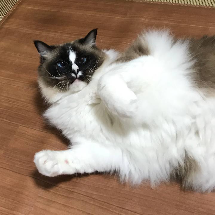 894b503e 7de6 450b a515 4486ecb05068 1520460968282