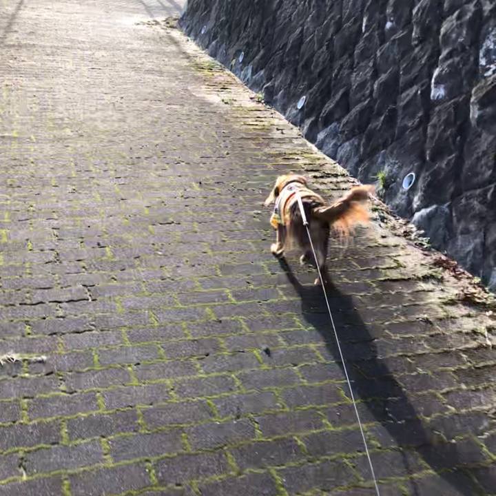 894b6b80 a1af 4f14 bc5a 2d96987fb778 1579994713833